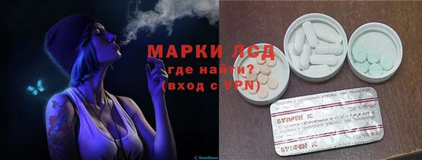 стафф Арсеньев