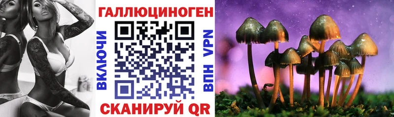 Псилоцибиновые грибы мицелий Купить закладки Суздаль